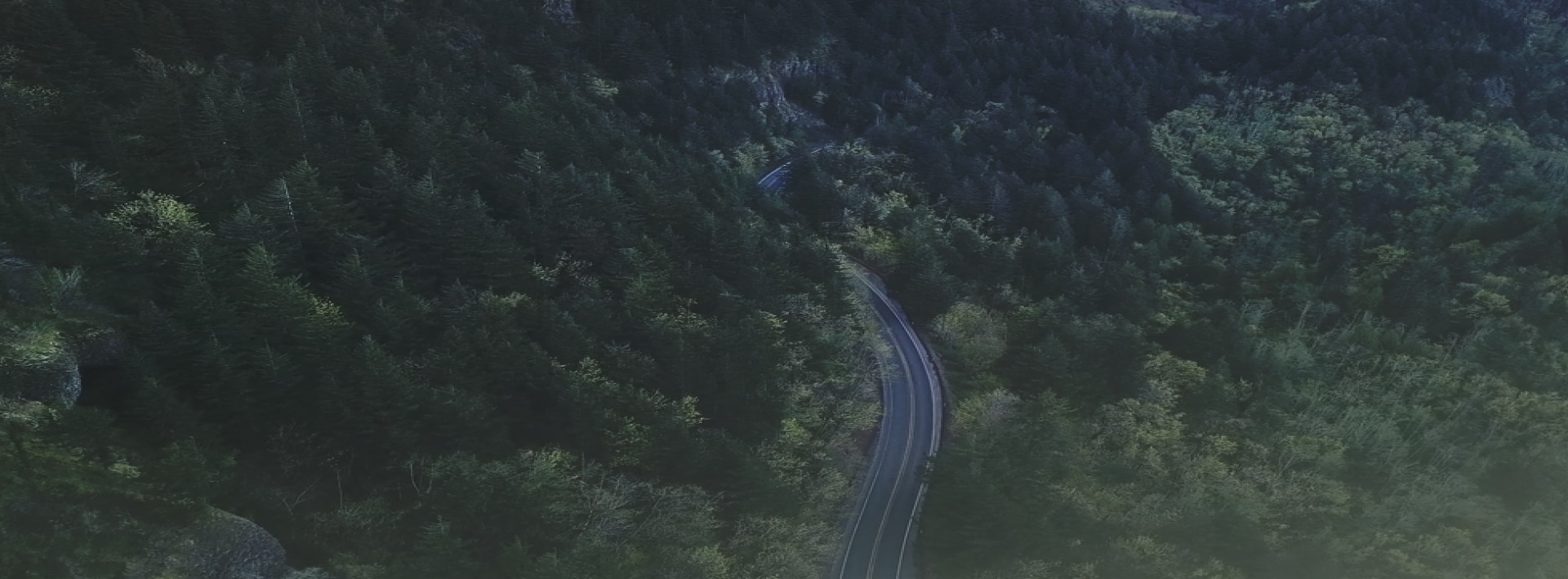 Aerial view of Alberta highway