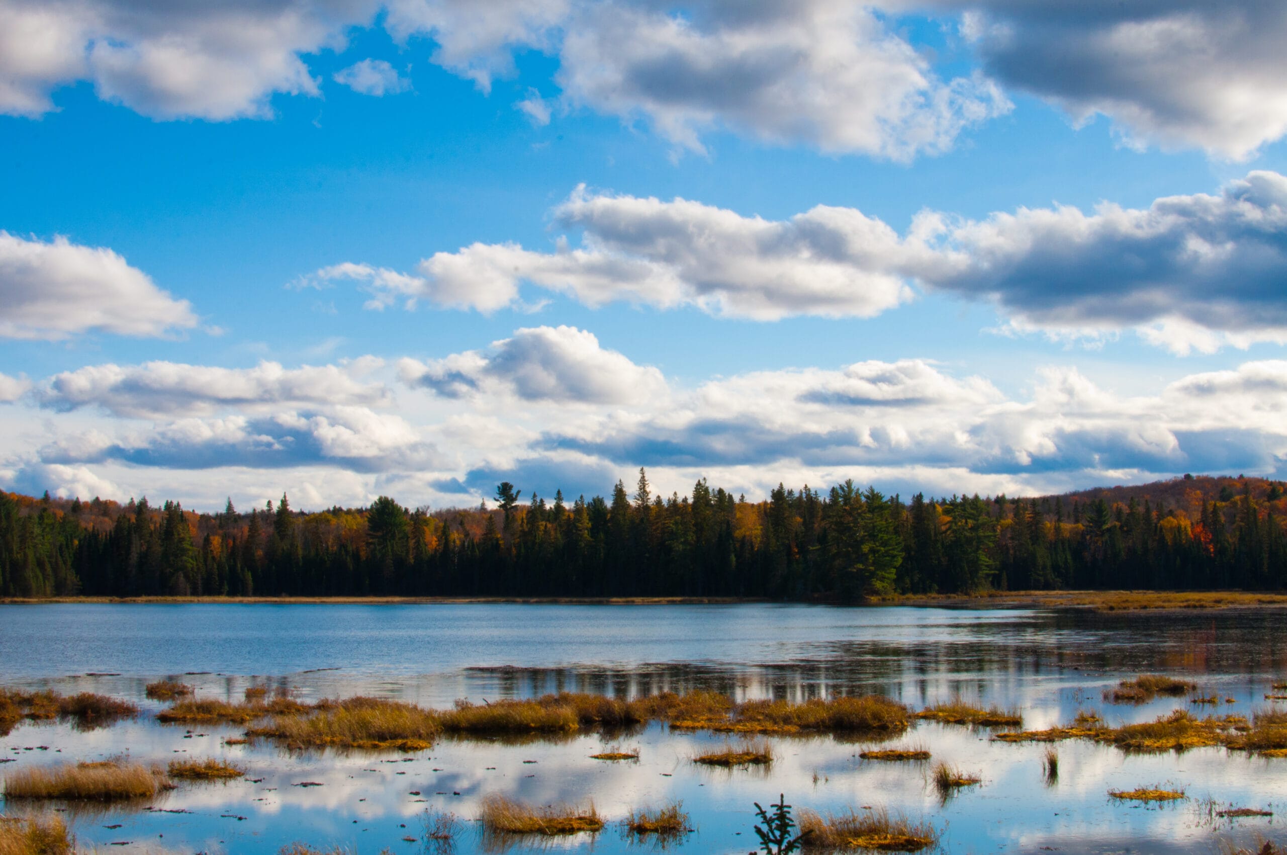 Landscape image of a lake with trees along the horizon