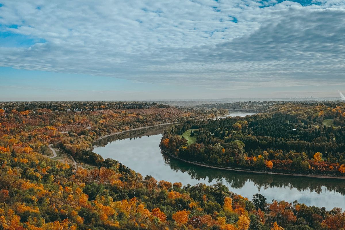 River in Alberta surrounded by trees