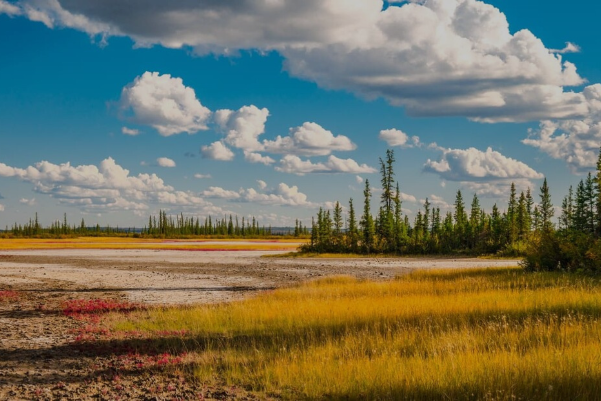 Field in Wood Buffalo