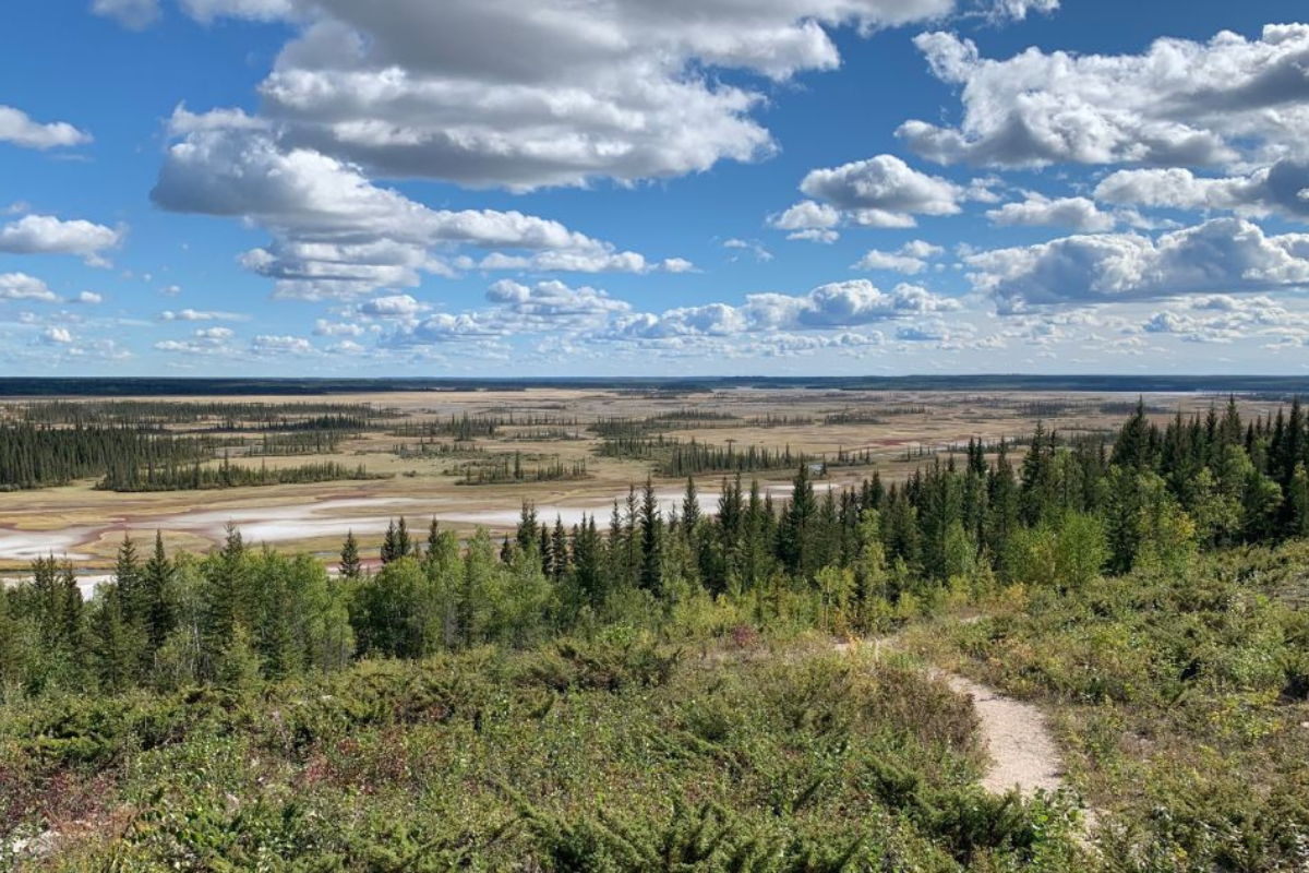 Rural area in Alberta