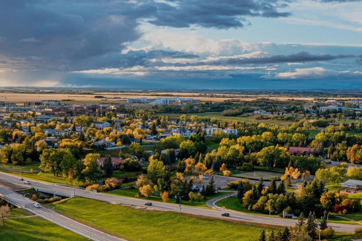 A road surrounded by trees in Alberta