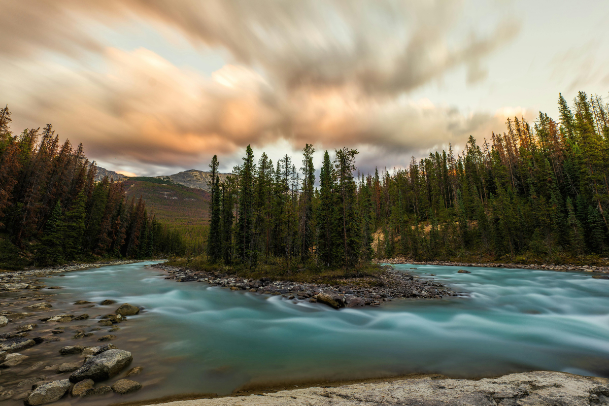 Sunwapta River in Jasper National Park, Alberta, Canada