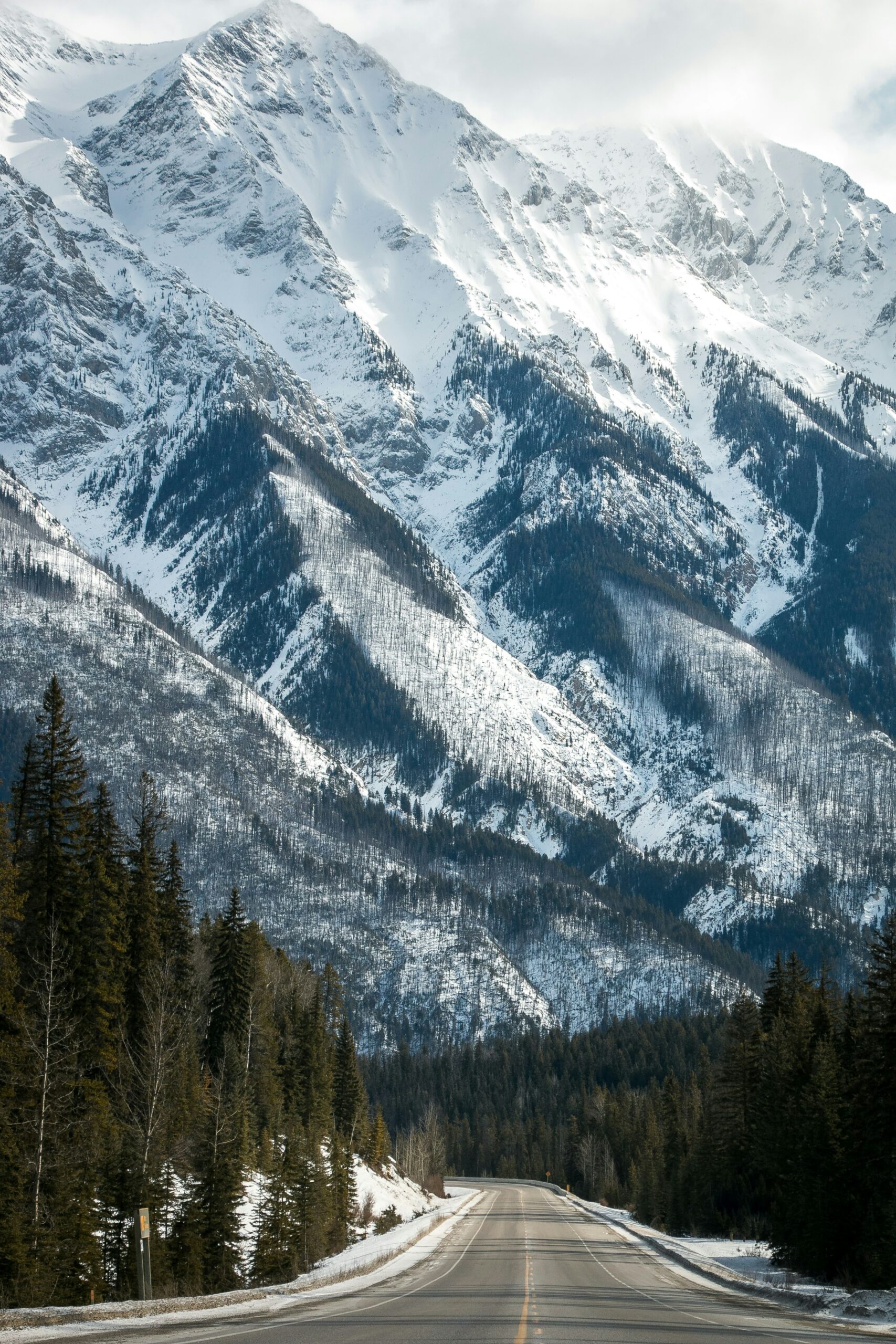 Rocky Mountain Road